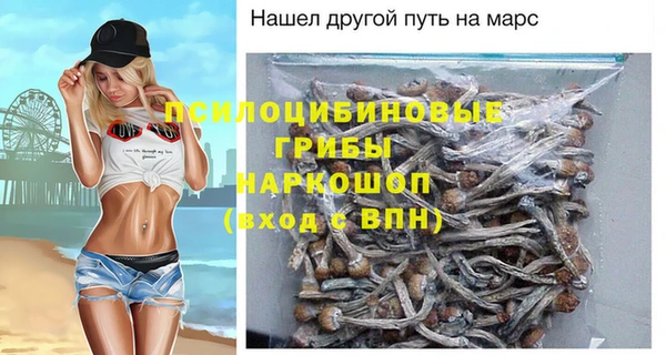 стафф Приозерск