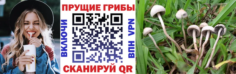 Псилоцибиновые грибы ЛСД  купить наркотики сайты  Советский 
