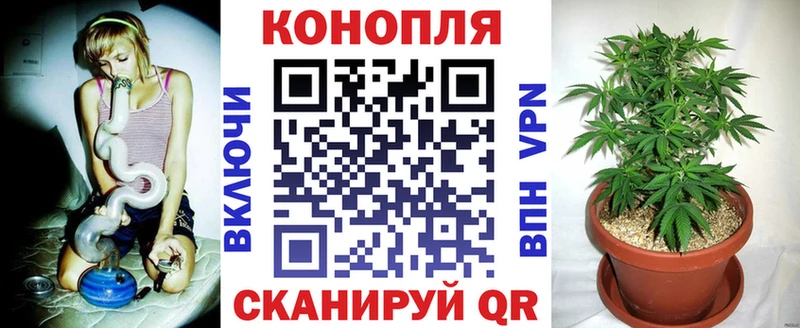 Бошки Шишки конопля  наркота  OMG ТОР  Советский 